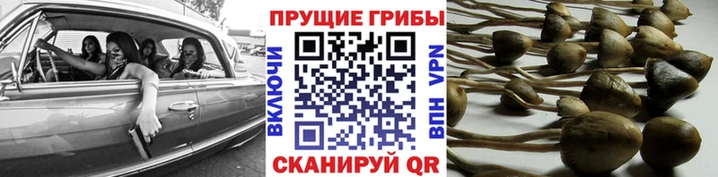 МЕГА рабочий сайт  Арамиль  Галлюциногенные грибы мухоморы 